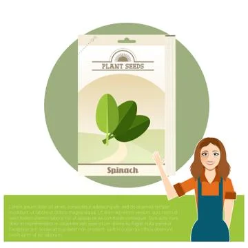 Pack of Spinach seeds icon Illustrazione stock