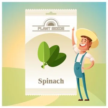 Pack of Spinach seeds icon Stock Illustration