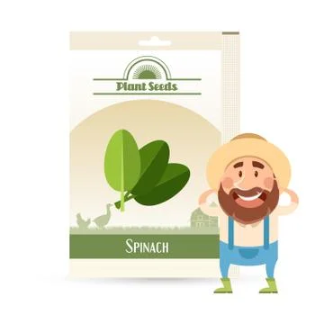 Pack of Spinach seeds icon Stock Illustration