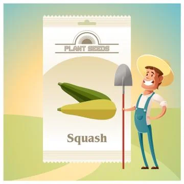 Pack of Squash seeds icon Stock Illustration
