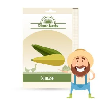 Pack of Squash seeds icon Stock Illustration