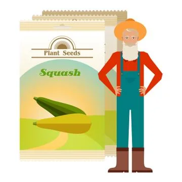 Pack of Squash seeds icon Stock Illustration