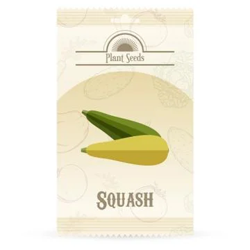 Pack of Squash seeds icon Stock Illustration