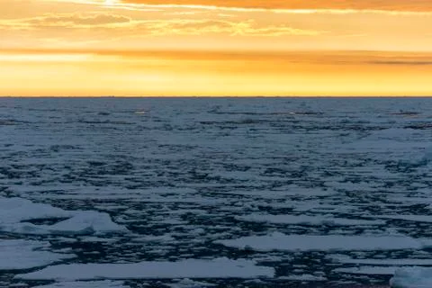 Pack at sunset Stock Photos