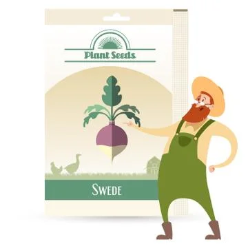 Pack of Swede seeds Stock Illustration