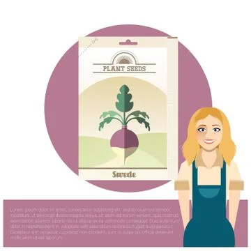 Pack of Swede seeds Stock Illustration