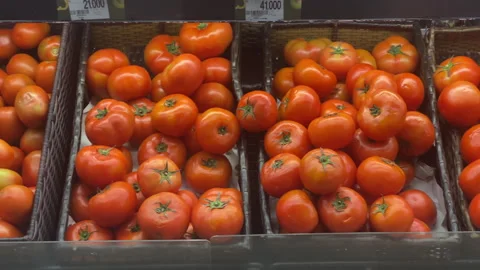 A pack of tomato in hypermart on sale Stock-Footage 253758117