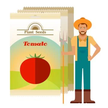 Pack of Tomato seeds Stock Illustration