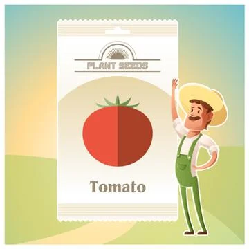 Pack of Tomato seeds Illustrazione stock