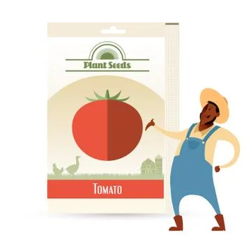 Pack of Tomato seeds Stock Illustration