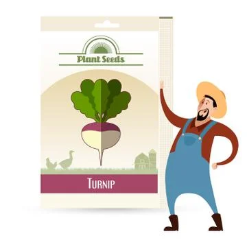 Pack of Turnip seeds icon Stock Illustration