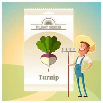 Pack of Turnip seeds icon Stock Illustration