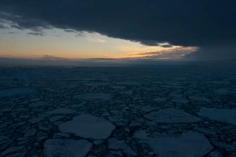 Pack under dark sky Stock Photos