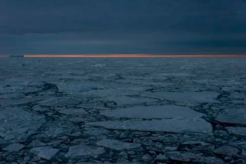 Pack under dark sky Foto stock