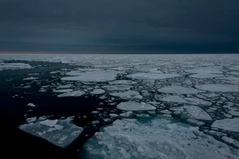 Pack under dark sky Stock Photos