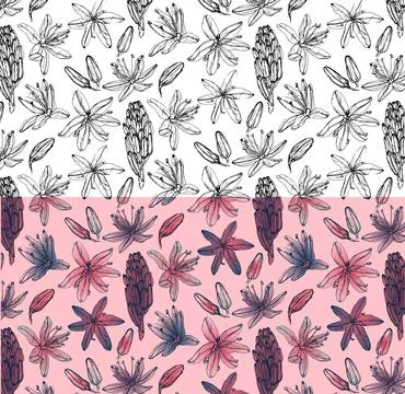 Pack of vectorized black line flower vector patterns イラスト素材