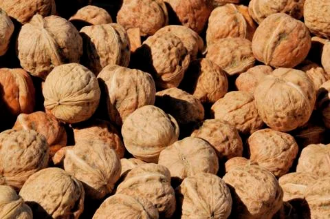 A pack of walnuts Stock Photos
