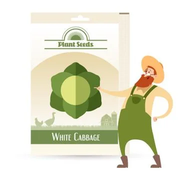 Pack of White Cabbage seeds Stock Illustration