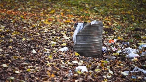 Package of plastic garbage in the forest. Nature pollution. Trash bin filled Stock Footage 125602041