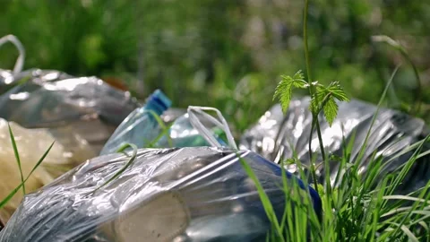 A package of plastic garbage lies in the forest on a forest road, pollution of Video stock 171994834