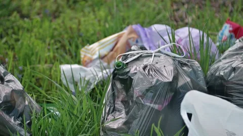 A package of plastic garbage lies in the forest on a forest road, pollution of Stock Footage 171995273