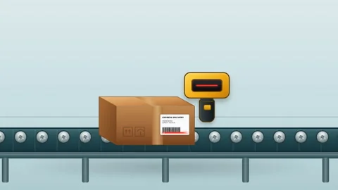 Package scanning on conveyor belt for express delivery and shipping process. Stock Footage 344889312