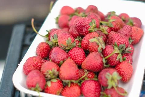 Package of strawberries. Stock Photos
