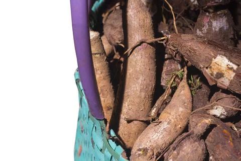 Packaged cassava root and organic cassava root starch. clipping path Stock Photos