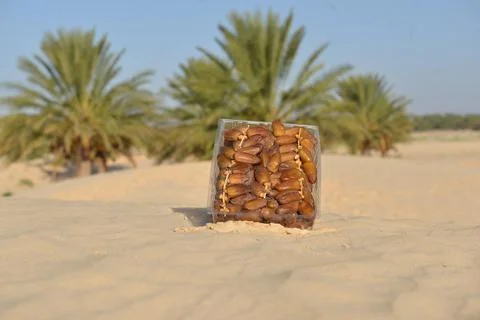 Packaged Dates in Desert Oasis Landscape Stock Photos