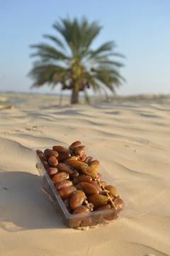 Packaged Dates on Desert Sand with Palm Tree in Background Stock Photos
