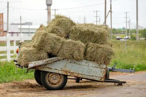 Packaged hay in an old stable trailer Foto stock