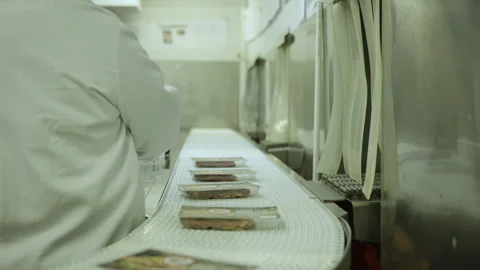 Packaged Meat Portions Moving Past Worker on Curved Factory Belt Stock Footage 341308948