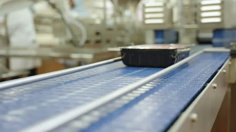 Packaged Minced Beef Moving Along Blue Factory Belt Stock Footage 341710296