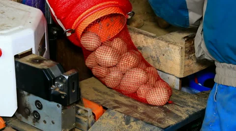 Packaged potatoes Stock Footage 46785537