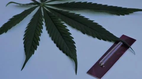 Packaged seed and marijuana leaf as concept Stock Photos