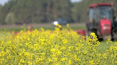 Packaged silage or hay bales, hay, sealed in plastic packaging Stock Footage 279210219