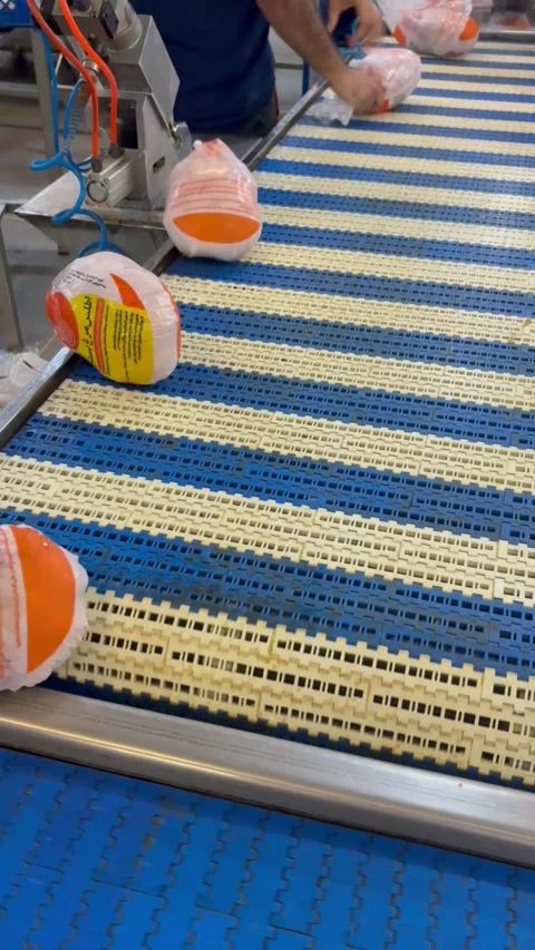 Packaged whole chickens moving on factory conveyor belt, vertical shot Stock Footage 345166080