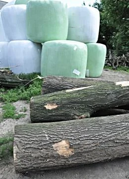 Packages chopped forage Stock Photos