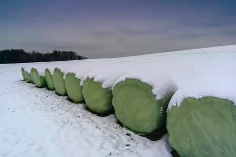 Packages of silage Stock Photos