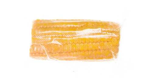 Packaging and Freezing Boiled Corn 4K Stock Footage 297775620