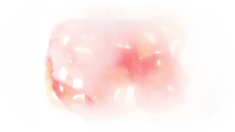 Packaging and Freezing Bright Pepper Sslices 4K Stock Footage 328005970