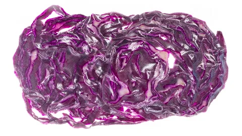 Packaging and Freezing Cabbage Straws 4K Stock Footage 328532934