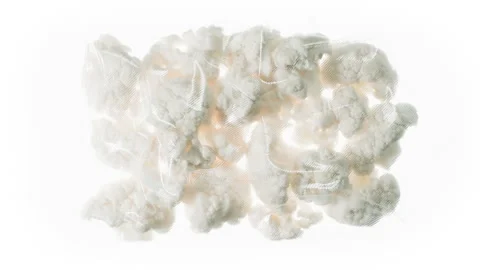 Packaging and Freezing Cauliflower 4K Stock Footage 297619686