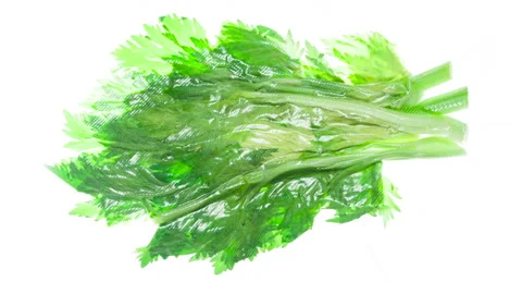 Packaging and Freezing Celery Leaves 4K Stock Footage 297631448
