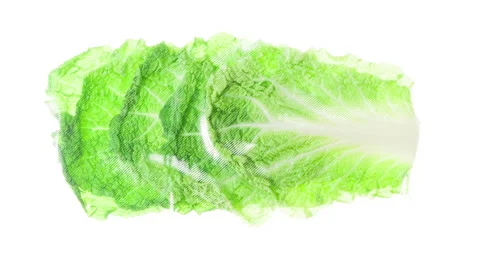 Packaging and Freezing Chinese Cabbage Leaves 4K Stock Footage 297697412