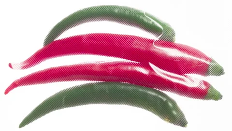 Packaging and Freezing Hot Peppers 4K Stock Footage 328006015