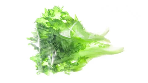 Packaging and Freezing Lettuce Leaves 4K Stock Footage 328021068