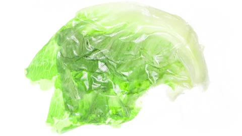 Packaging and Freezing Lettuce Leaves 4K Stock Footage 328539791