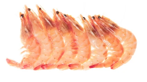 Packaging and Freezing Shrimp 4K Stock Footage 328110812