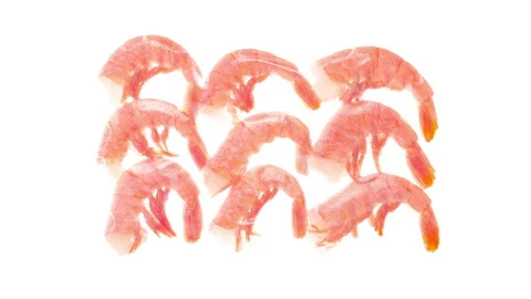 Packaging and Freezing Shrimp Meat 4K Stock Footage 328119248